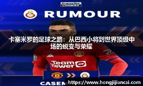 bsports官网入口