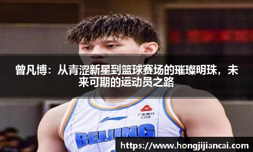 bsports官网入口