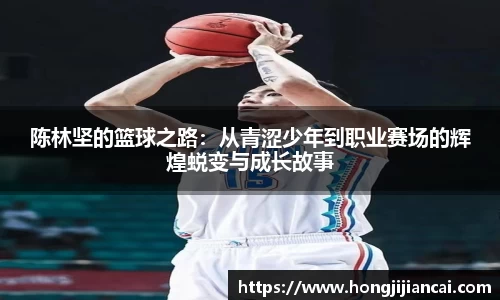 B体育bsports