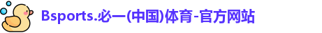 B体育官网